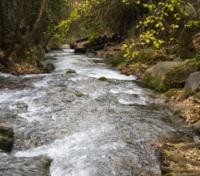 Banias River